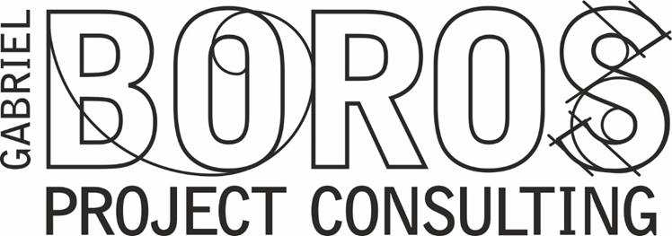 Boros consulting